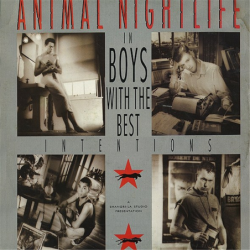 Boys With The Best Intentions - Animal Nightlife