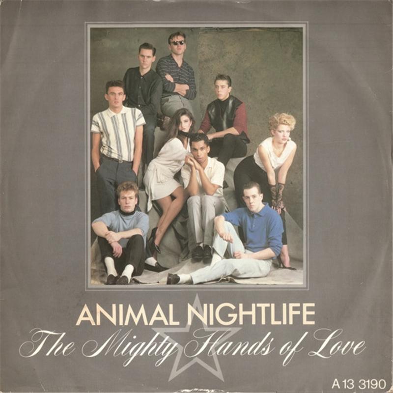 The Mighty Hands Of Love - Animal Nightlife