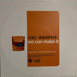 We can make it - Aquarius