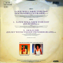 Love will save the day - Houston Whitney