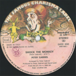 Shock the monkey - Gabriel Peter