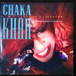 Love of a lifetime (Extended Dance Version) - Chaka Khan