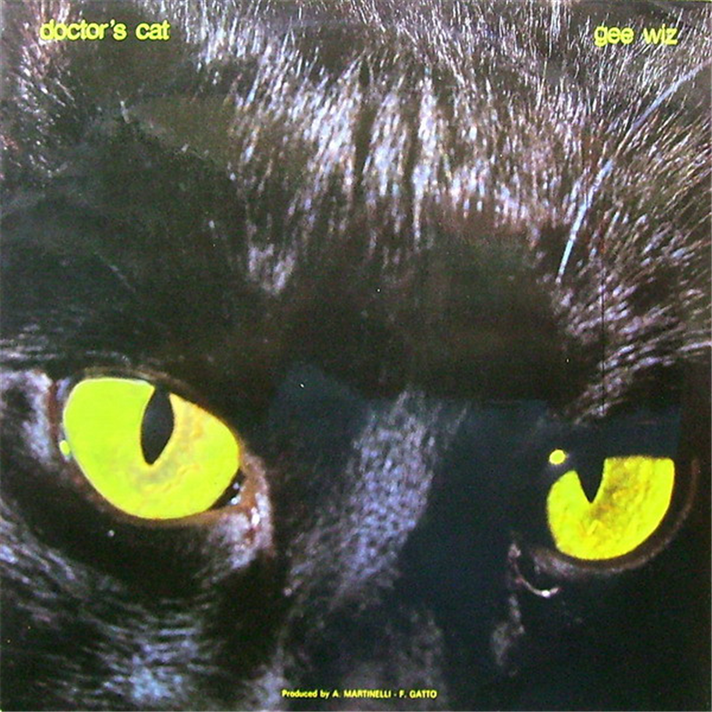 Gee Wiz - Doctor's Cat