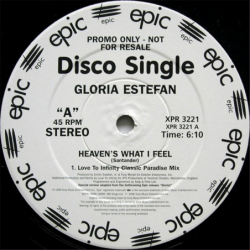 Heaven's what i feel - Estefan Gloria