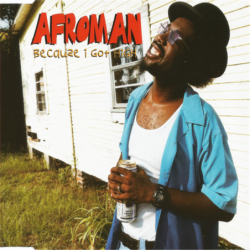 Because I got high - Afroman