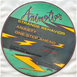 Strange behavior - Animotion